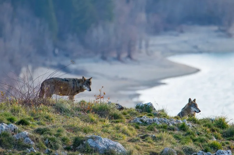 Abruzzo, Lazio e Molise National Park 2