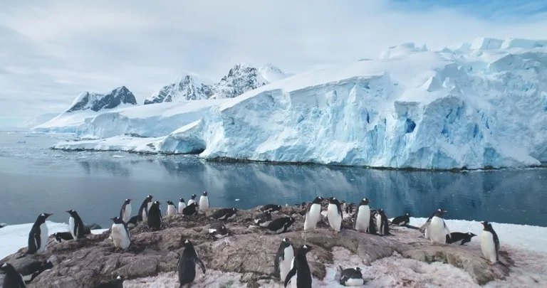 Antarctic Peninsula Protected Areas 4