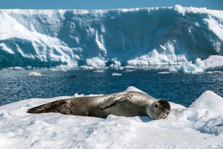 Antarctic Peninsula Protected Areas 1