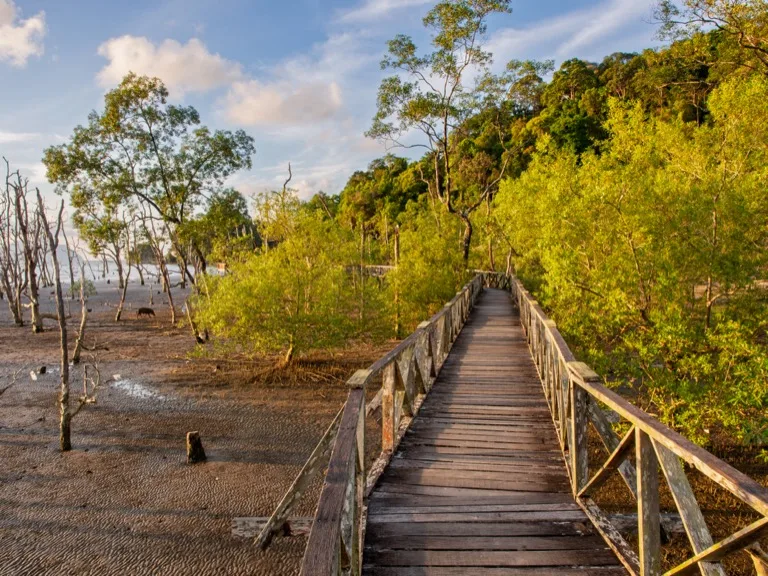 Bako National Park 12
