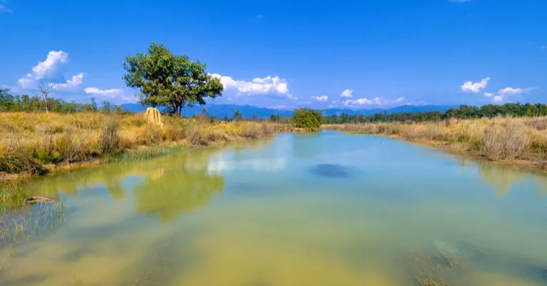 Bardia National Park 4