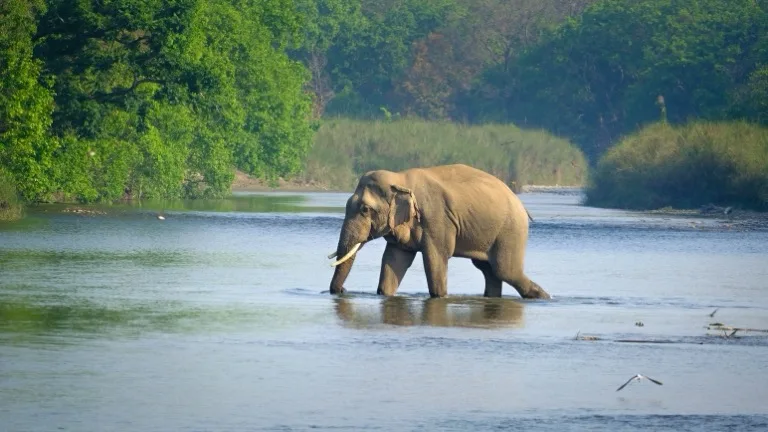 Bardia National Park