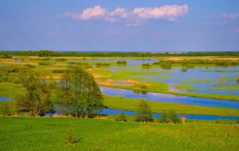 Biebrza National Park 2
