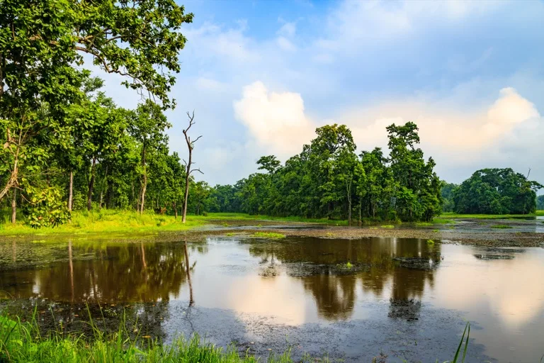 Chitwan National Park 4