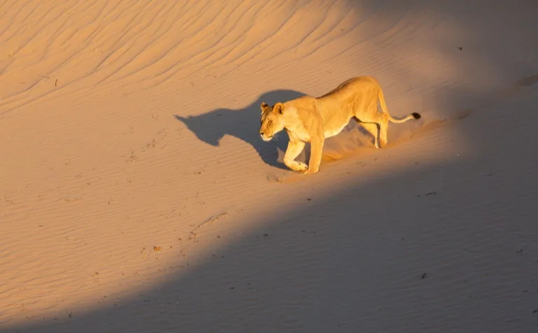 Damaraland 1