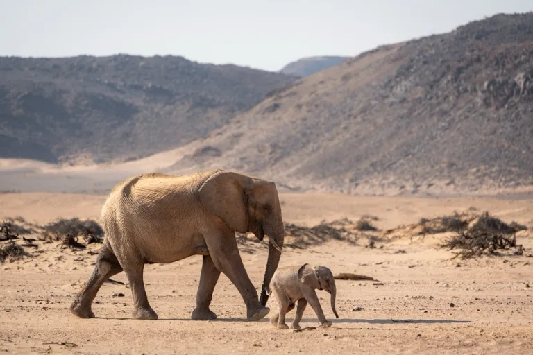 Damaraland 2