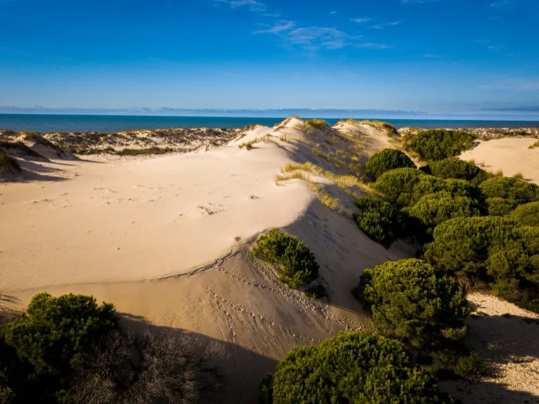 Doñana National Park 6