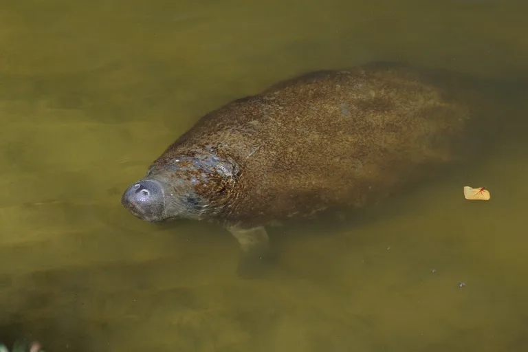 Everglades National Park 3