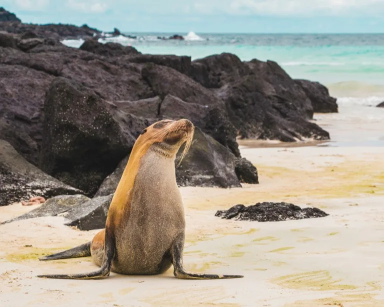 Galápagos Islands 6