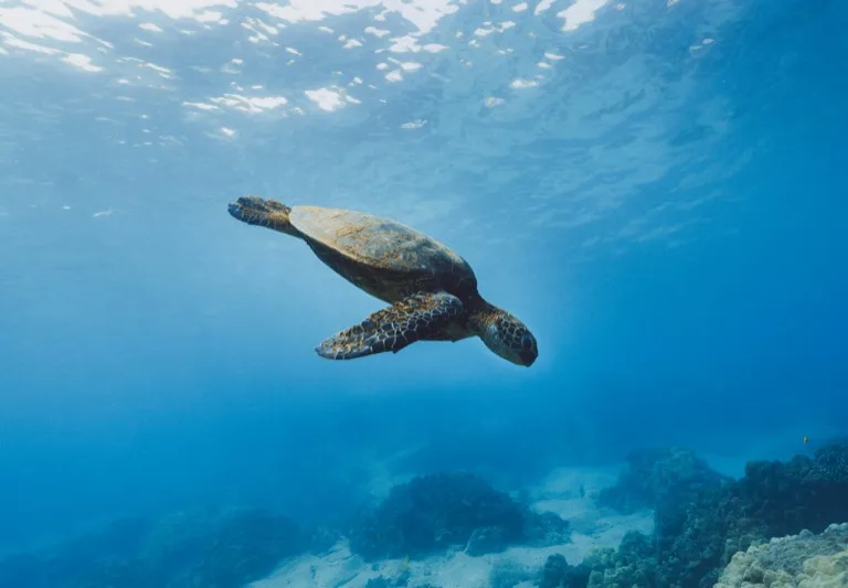 Galápagos Islands 3