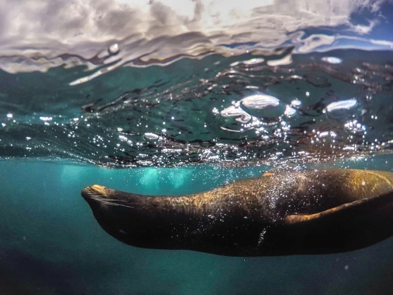 Galápagos Islands 1