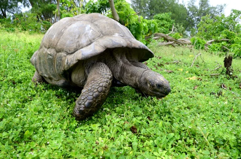 Galápagos Islands 8