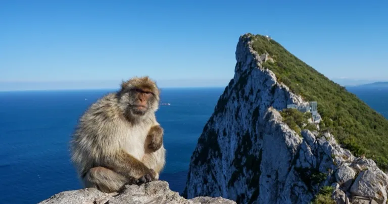 Strait of Gibraltar / Tarifa Migration Corridor 2