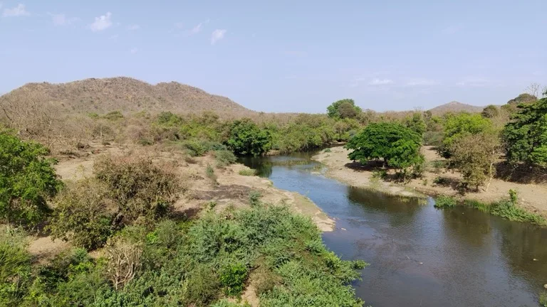 Gir National Park 4