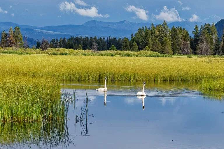 Grand Teton National Park 4