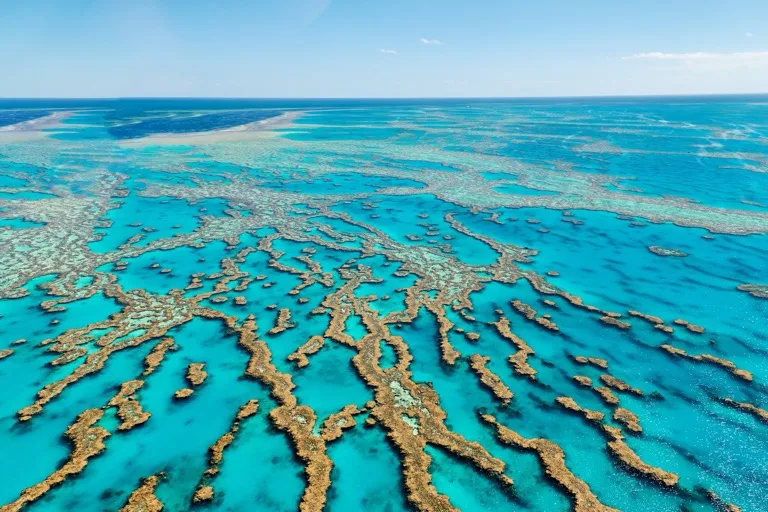 Great Barrier Reef Marine Park 4