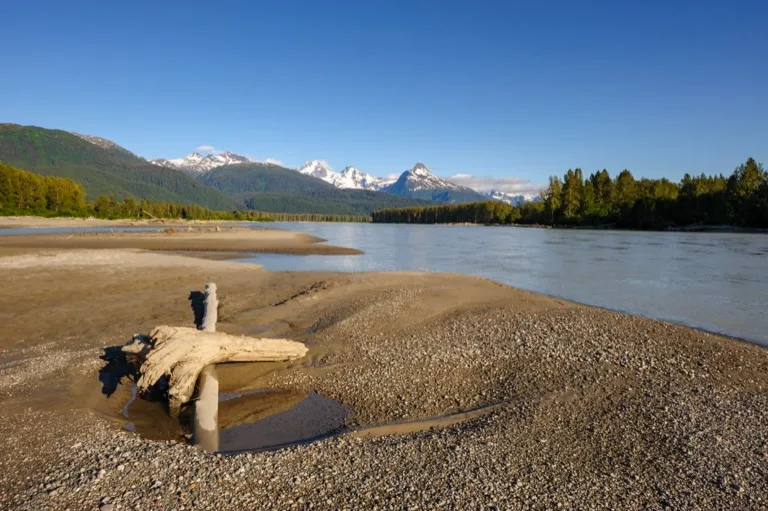 Great Bear Rainforest 5