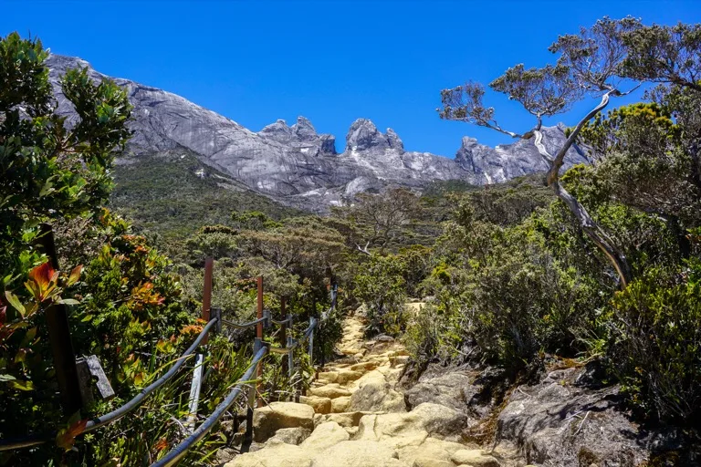 Kinabalu Park 2