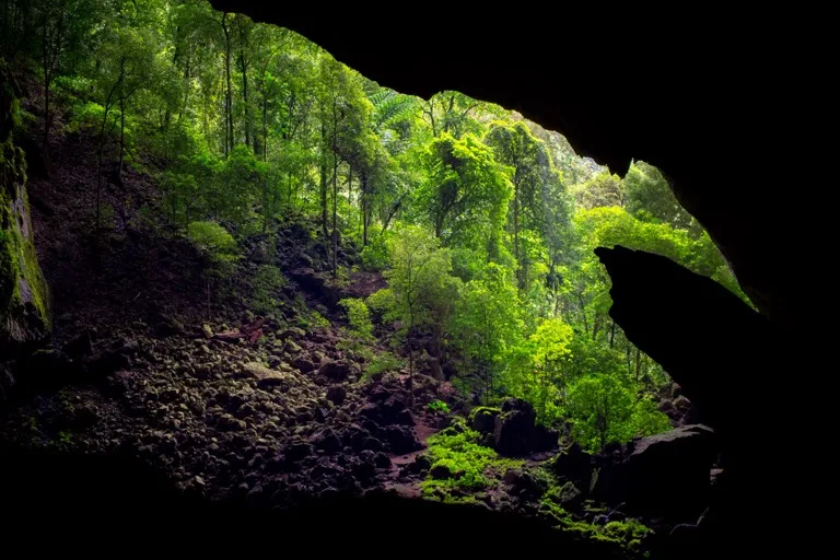 Gunung Mulu National Park 1