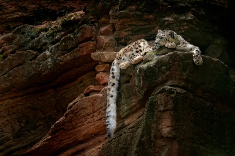 Hemis National Park 1