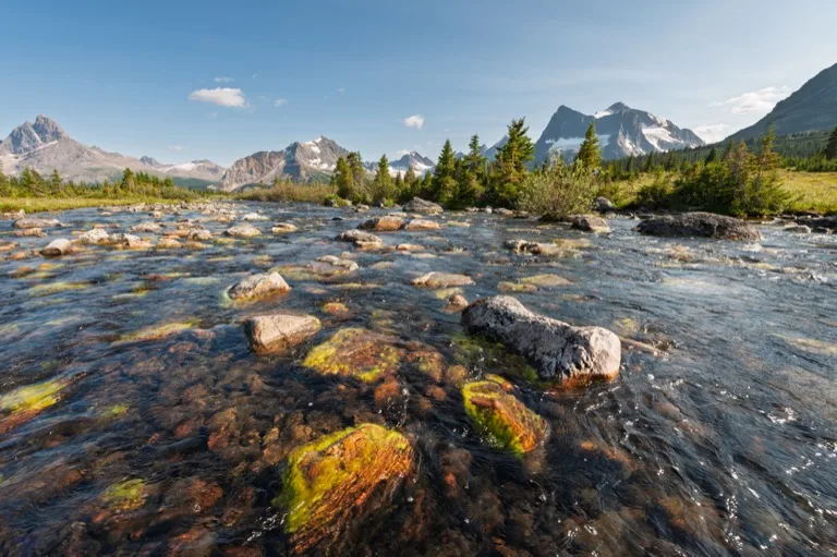 Jasper National Park 4