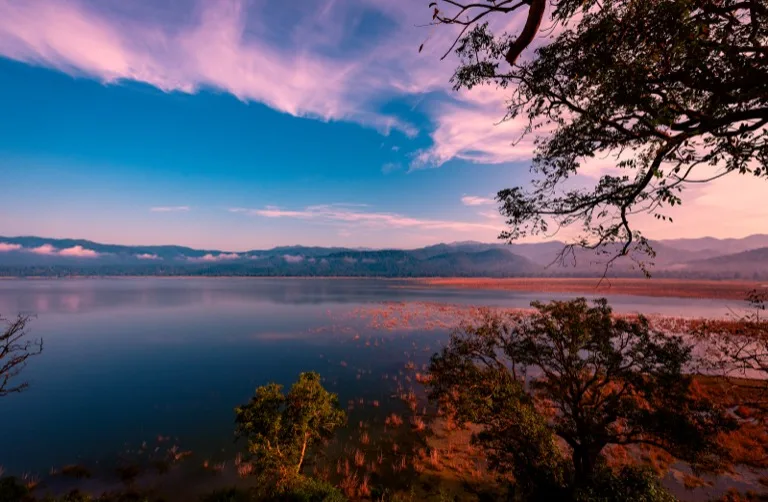 Jim Corbett National Park 4