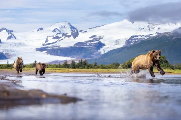 Katmai National Park 4