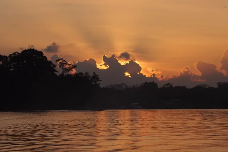 Dusk on Kinabatangan river