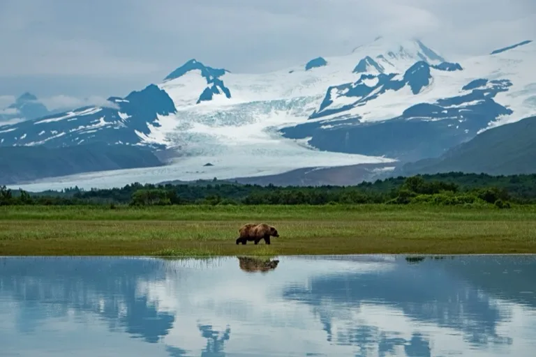 Kodiak National Wildlife Refuge 4