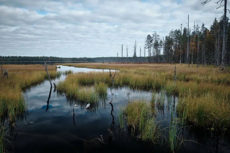 Kuhmo 3