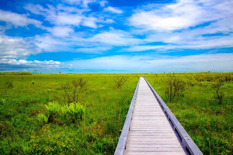 Kushiro Shitsugen National Park / Tsurui 1