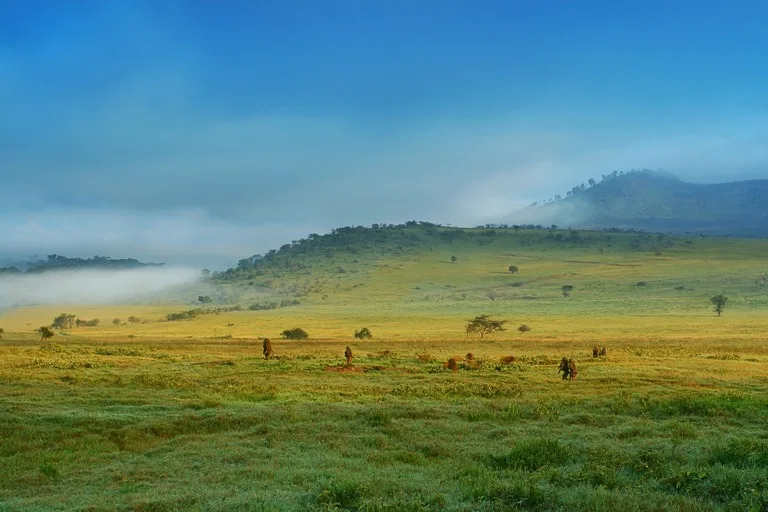 Lake Nakuru National Park 4