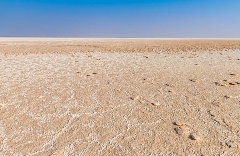 Little Rann of Kutch Wildlife Sanctuary 4