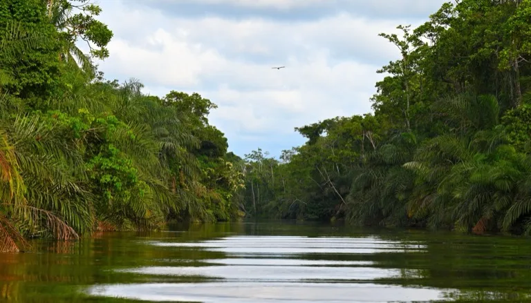 Loango National Park 4
