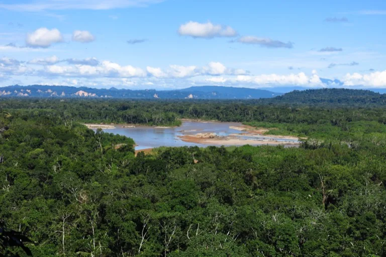 Madidi National Park 4