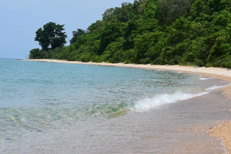 Mahale Mountains / Gombe Stream National Parks 3
