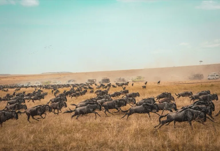 Masai Mara 7