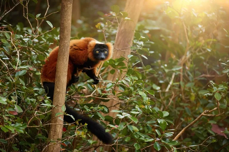 Masoala National Park