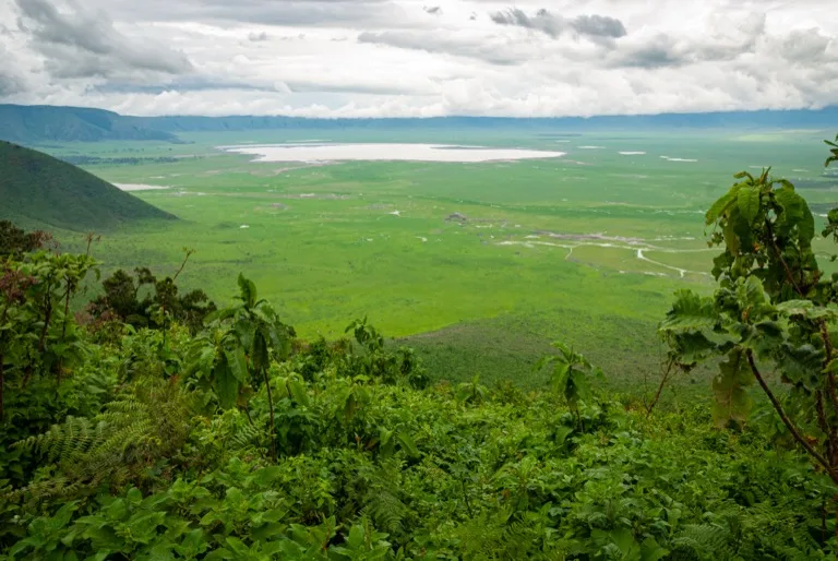 Ngorongoro Conservation Area 8