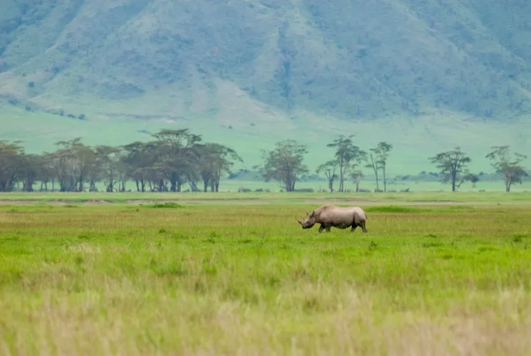 Ngorongoro Conservation Area 5
