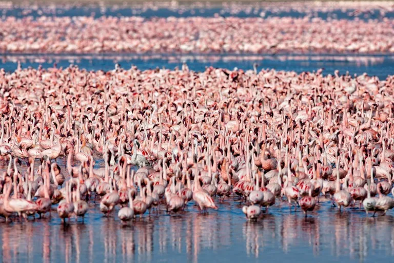 Ngorongoro Conservation Area 7