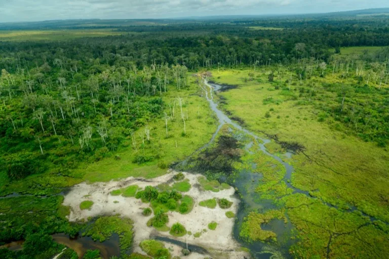 Odzala-Kokoua National Park 4