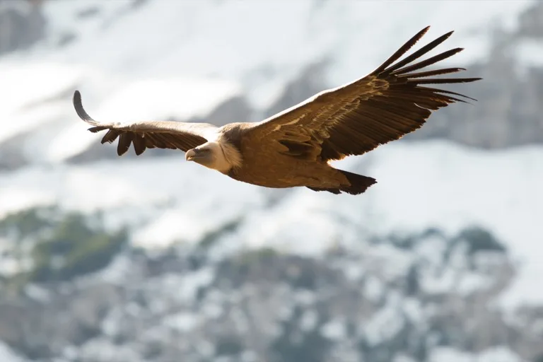 Ordesa y Monte Perdido National Park