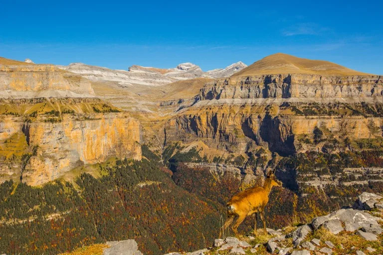 Ordesa y Monte Perdido National Park 2