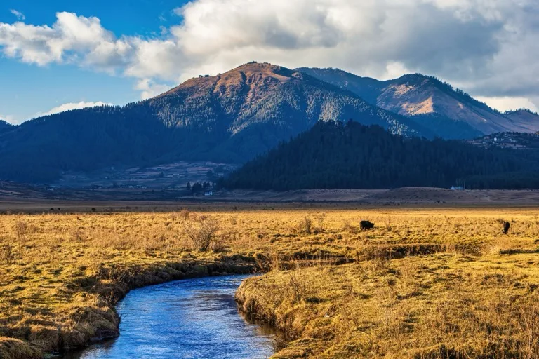 Phobjikha Valley 2