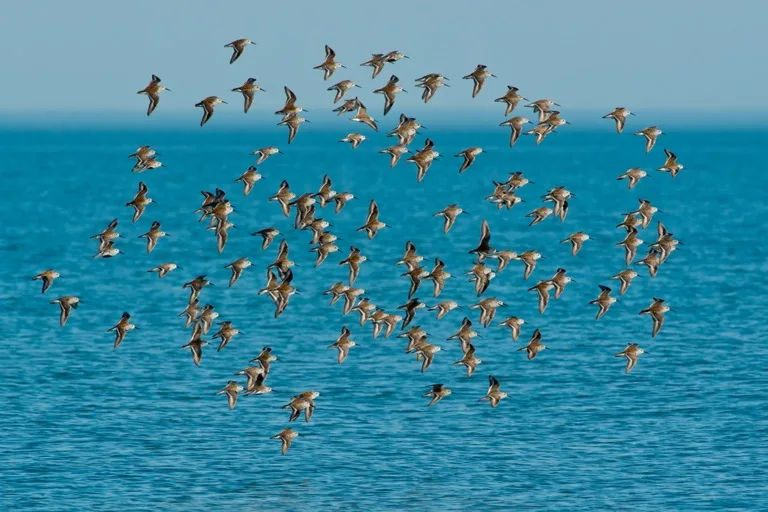 Point Pelee National Park 1