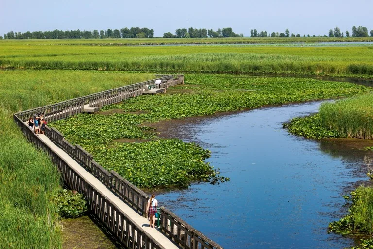 Point Pelee National Park 4