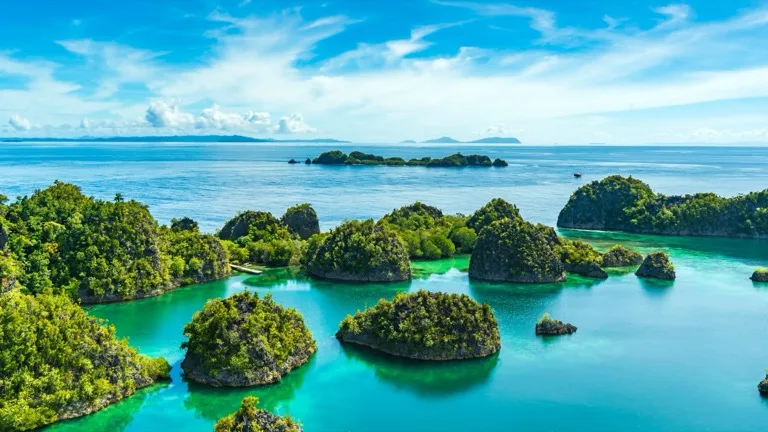 Raja Ampat 4