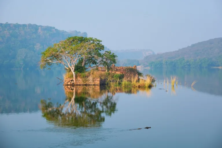 Ranthambore 4