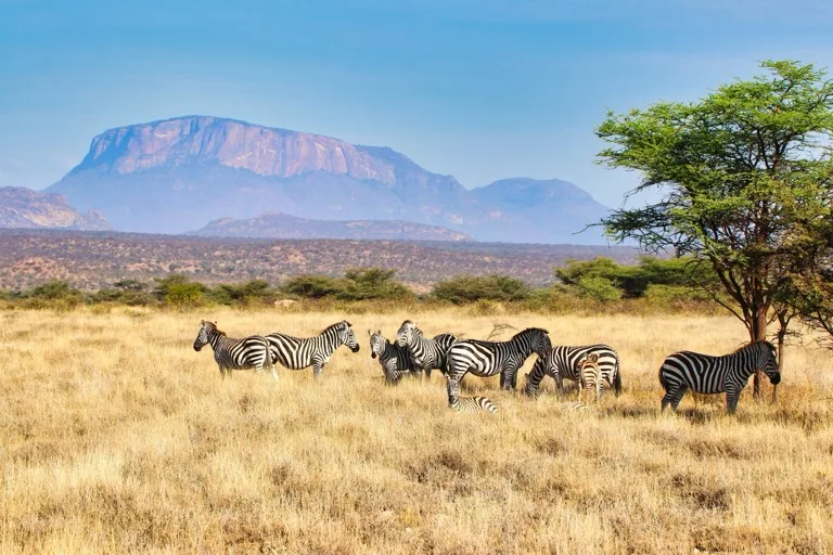 Samburu National Reserve 4